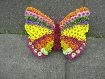 Butterfly*