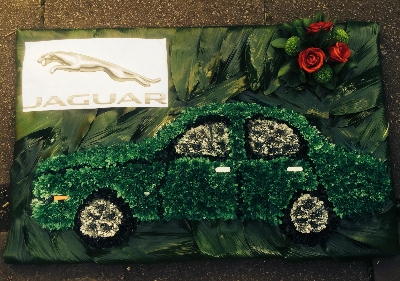 Jaguar Car Tribute