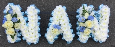 Sky Blue & White Nan Tribute