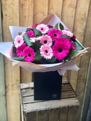 Gerbera Hand tied