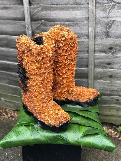 Line dancing boots uk on sale