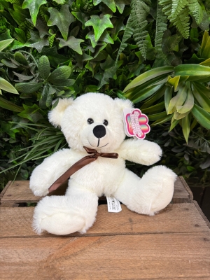 Baby bear