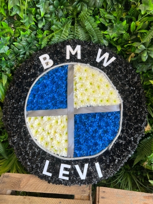 BMW logo