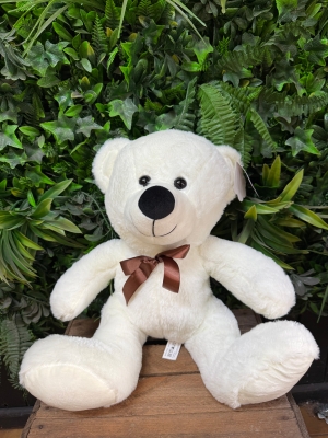 Medium bear