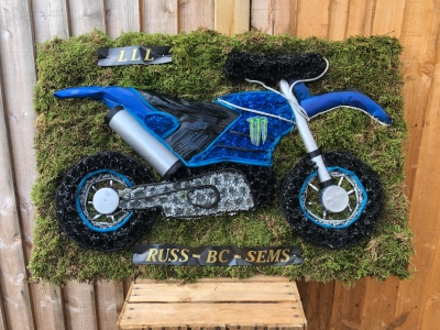 Off road bike