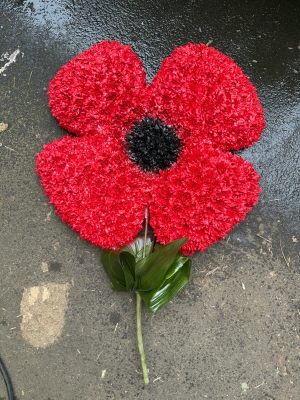 Poppy