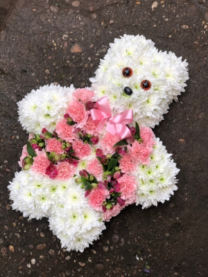 Teddy bear pink