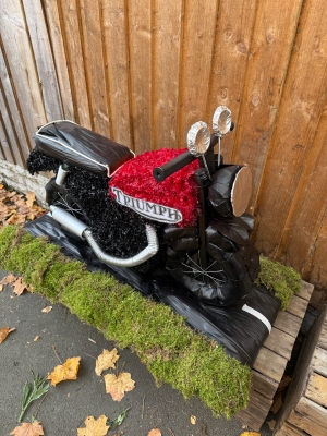 Triumph motorbike 3 D