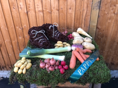 Vegetable patch and boots