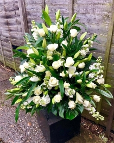 White and Green Service Arrangement *