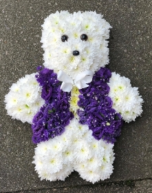 Teddy Bear purple