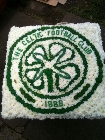 Celtic badge