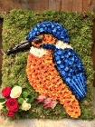 Kingfisher Tribute