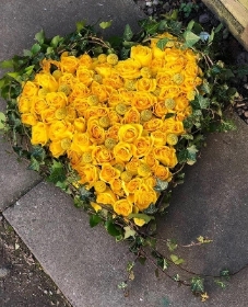 Yellow rose heart
