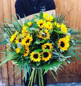 sunflower handtied