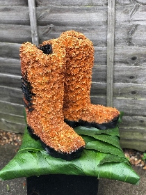 Line dancing boots