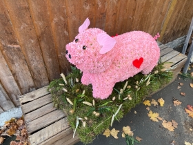 3D PIG