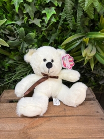 Baby bear