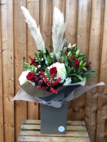 Christmas candy cane