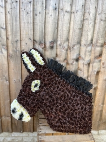Donkey head