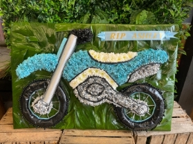 Off road blue and white bike