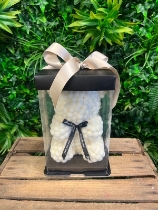 Pom Pom bear white