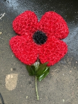Poppy