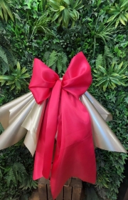 Skirt and Giant Bow Combo