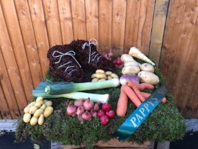 Vegetable patch and boots