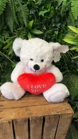 White I love you bear medium